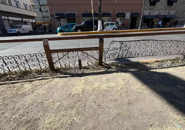 Sigue en descuido pequeña área verde del Centro Histórico de Durango