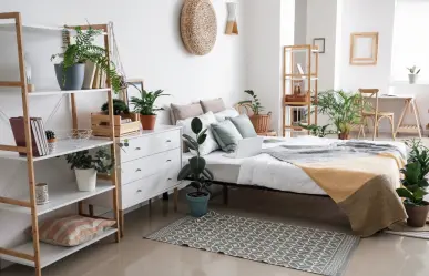 Aprovecha la primavera y decora tu hogar con estas 5 plantas de sombra