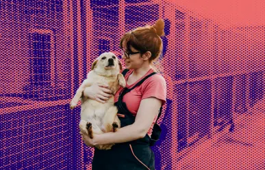 ¿Quieres adoptar a una mascota en Escobedo? Aquí te decimos cómo