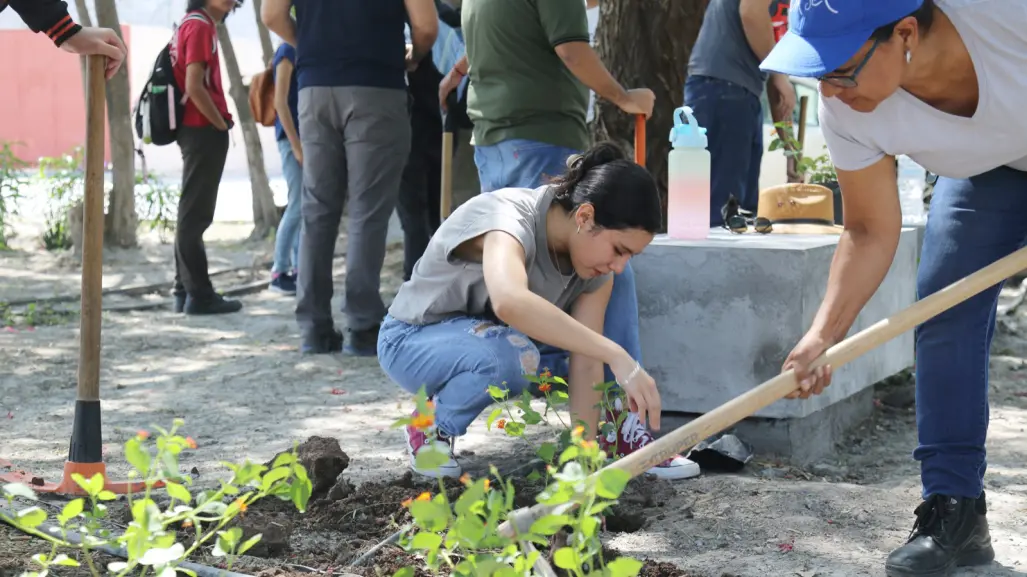 Contaminación ambiental en Saltillo: ¿qué medidas se están tomando?