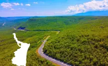 Estas son las carreteras más bonitas de Tamaulipas según ChatGPT