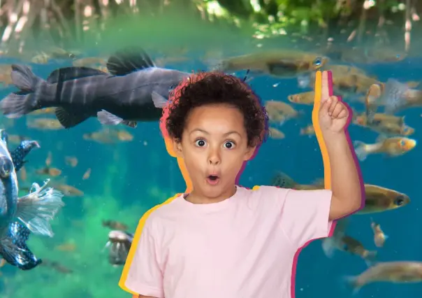 Estos son los animales que puedes encontrar en un cenote