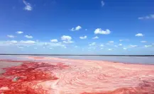 Este destino de Tamaulipas no le envidia nada a Las Coloradas de Yucatán