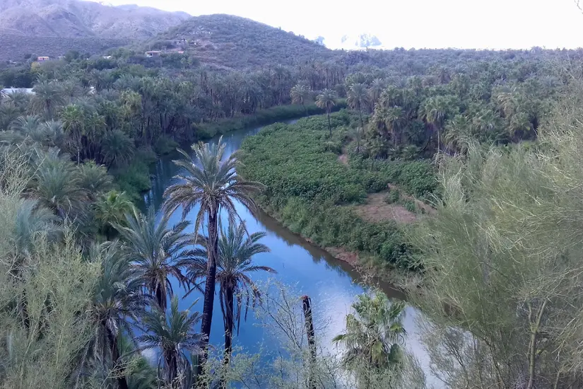 Oasis en Heroíca Mulegé. Foto: Modesto Peralta Delgado.