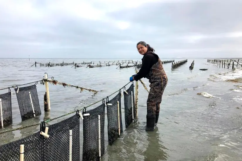Las familias pueden quedar protegidas con 100 mil pesos en caso de muerte del pescador. Foto: Sepada.
