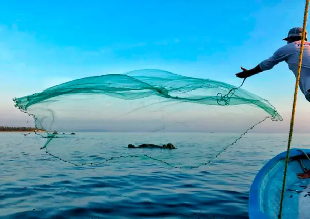 ¿En qué consiste el Seguro de Vida Pesquero y Acuícola? La poliza es de hasta 100 mil pesos