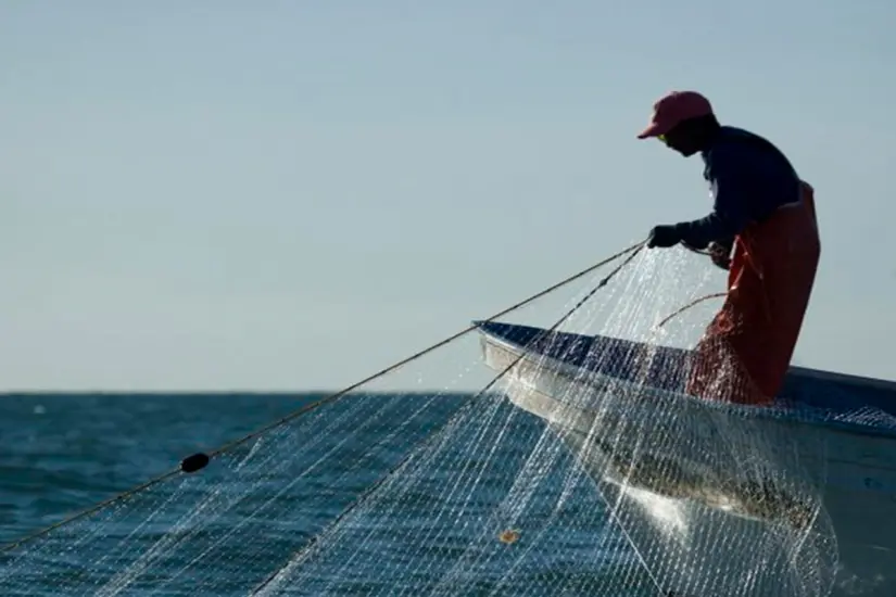 La pesca, una actividad fundamental en BCS. Foto: Sepada.