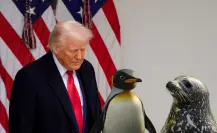Donald Trump impone aranceles recíprocos a ¿pingüinos y focas?