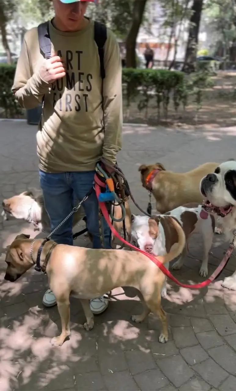 imagen recuadro Foto: Iván Macías