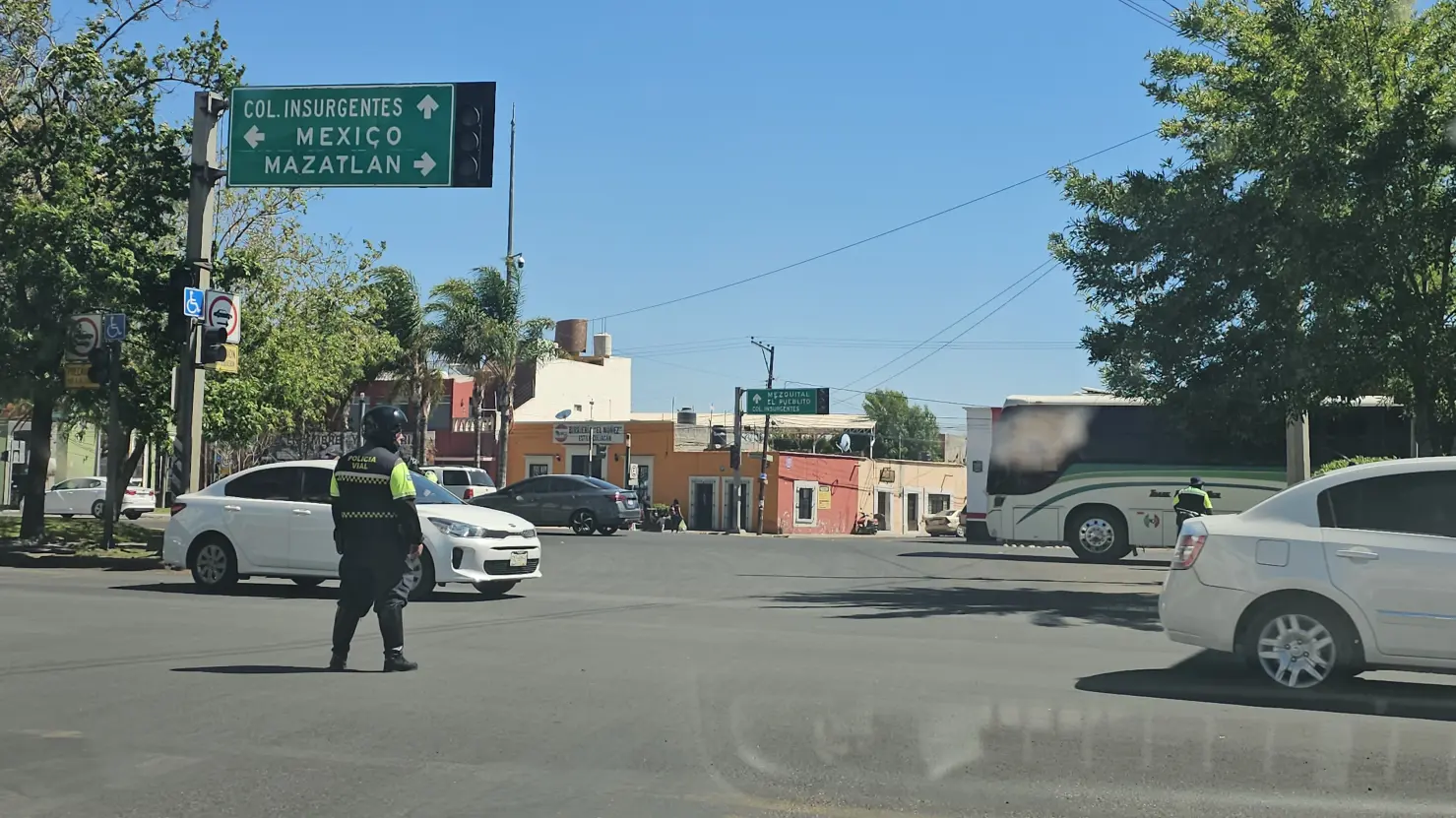 FOTOS │Caos por el viento en Durango: incendios, polvareda, anuncios caídos...
