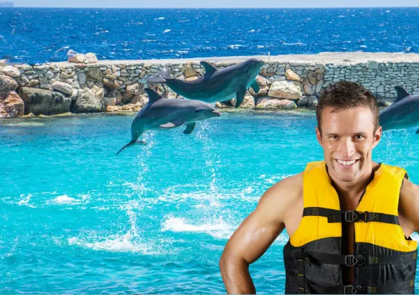 3 lugares para nadar con delfines en Baja California Sur