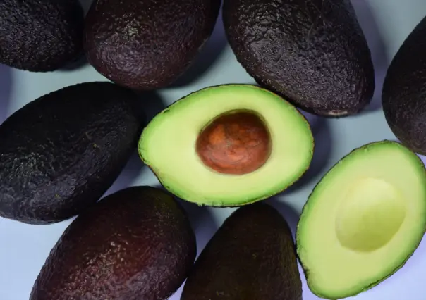 Así puedes elegir el mejor aguacate, según expertos