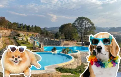 ¡Para los lomitos! Los mejores balnearios cerca de CDMX donde se aceptan perros