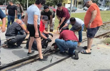 Caballo queda atrapado en vías del tren en Ciudad Madero y genera movilización de emergencia