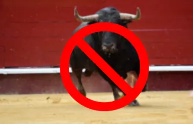 Diputado busca prohibir las corridas de toros en BCS