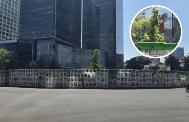 ¿Qué ha pasado con el Ahuehuete de Reforma en CDMX?