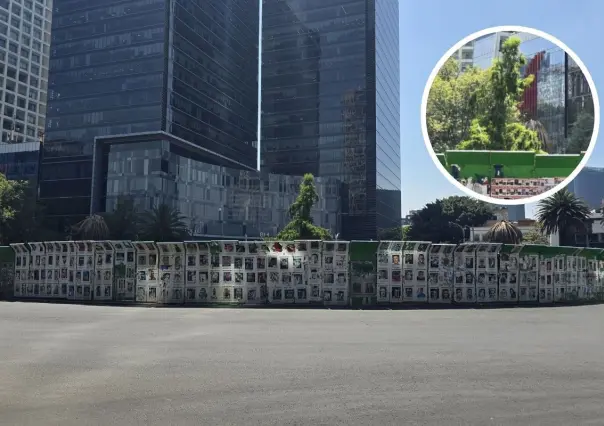 ¿Qué ha pasado con el Ahuehuete de Reforma en CDMX?