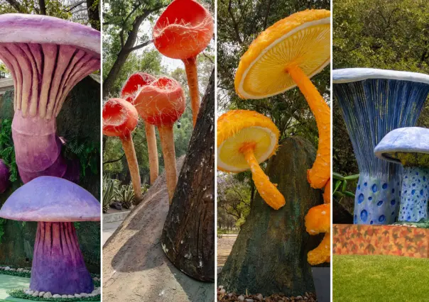 SPORA: Festival del Bosque 2025, convertirá a Chapultepec en un reino de hongos