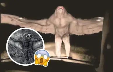 Hombre pájaro en Coahuila: ¿mito, ave gigante o presagio de desgracias?