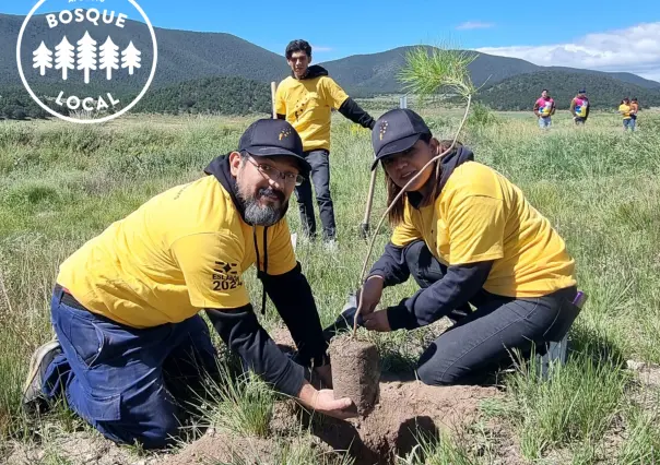 Apoya tu bosque local inicia campaña para reforestación 2025 en Saltillo