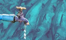 La Nueva Viga lucha contra la escasez de agua en plena Cuaresma