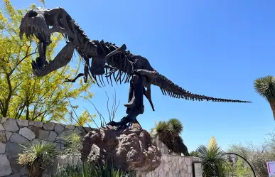Museo del Desierto Saltillo se prepara para recibir más de 60 mil visitantes en abril