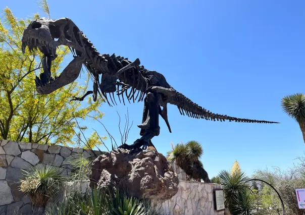 Museo del Desierto Saltillo se prepara para recibir más de 60 mil visitantes en abril