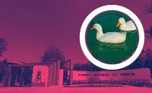 Este parque tiene un lago hermoso que te ayuda conectar con la naturaleza y esta en Apodaca
