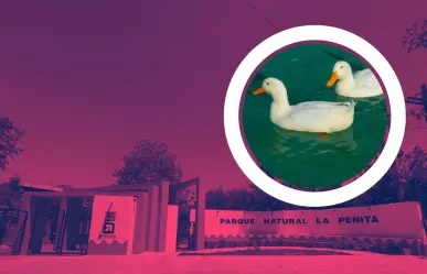 Este parque tiene un lago hermoso que te ayuda conectar con la naturaleza y esta en Apodaca