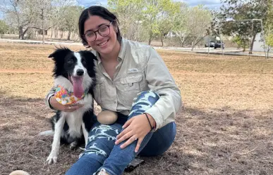 Perrita yucateca gana concurso de obediencia en Mérida