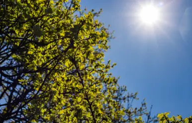 Ambiente cálido y sin lluvias para Tamaulipas este 12 de abril