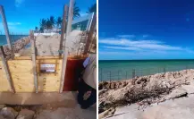 Profepa clausura obras de un muro de contención en Chicxulub Puerto