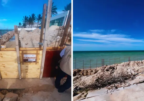 Profepa clausura obras de un muro de contención en Chicxulub Puerto