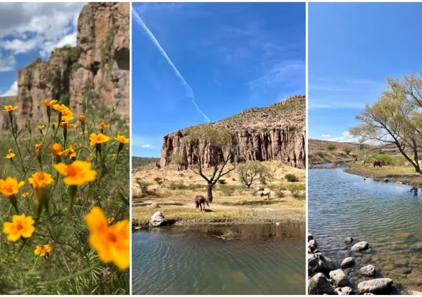 ¿Nunca has hecho senderismo en Durango? los márgenes de este río son ideales para iniciar