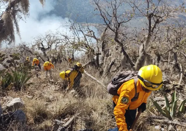 Presentan avances significativos en la sofocación del incendio forestal del Ejido Cañón de Vacas