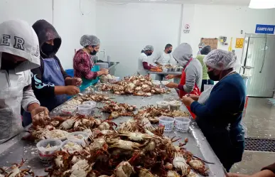 BCS exporta sabor: estos son los 5 productos que más se mandan a EE.UU.
