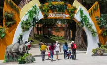 Parque Ecológico Zacango: una opción familiar para visitar en Semana Santa
