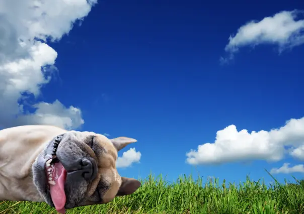 ¿Cuáles son las condiciones del clima en Durango para este 15 de abril?