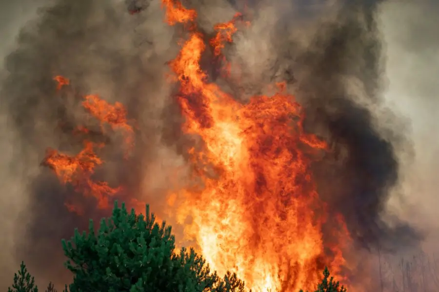 Semana Santa con alto riesgo de incendios en Yucatán por aire seco y vientos fuertes
