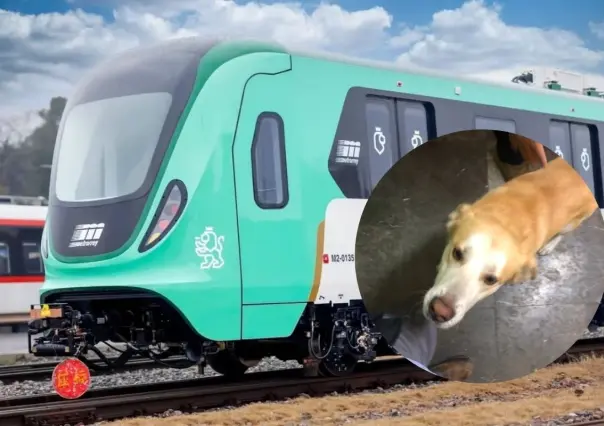 Perro es rescatado de las vías del Metro en la estación Sendero de Metrorrey