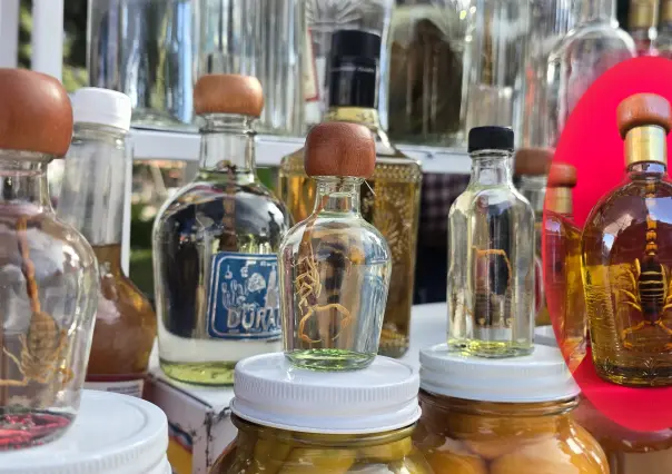 Alacrán de Durango: ¿Por qué se usa en el mezcal?