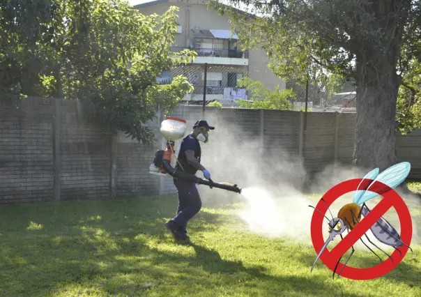 Zancudos del dengue ahora son más resistentes a las fumigaciones en el sur de Tamaulipas