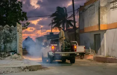 Semana Santa 2025: aplican acciones contra mosquitos en la costa de Yucatán
