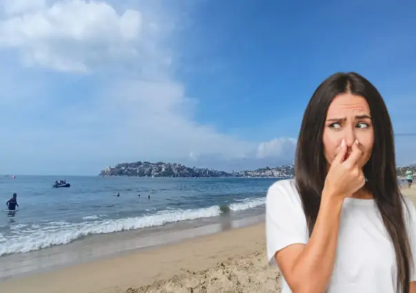 Semana Santa: ¿viajas desde CDMX? Estas playas están contaminadas con heces fecales