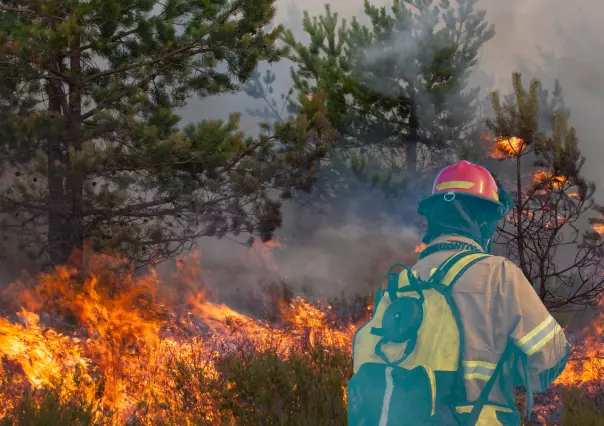 Activos 10 incendios forestales en la Sierra de Durango
