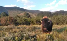 Senderismo en Coahuila: las rutas imperdibles en la Sierra de Zapalinamé