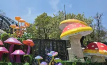 SPORA: Festival del Bosque 2025, Chapultepec se llenó de hongos gigantes y más