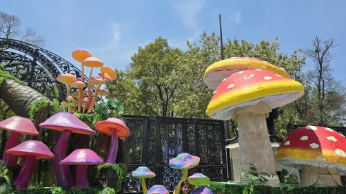 SPORA: Festival del Bosque 2025, Chapultepec se llenó de hongos gigantes y más