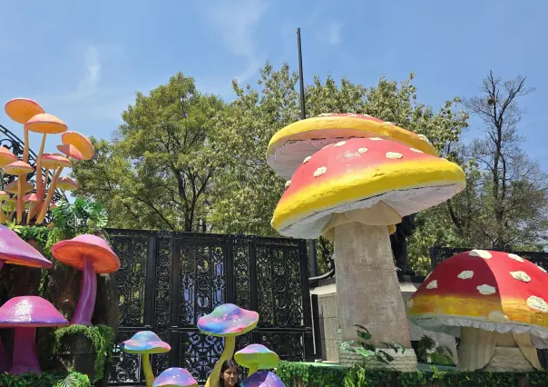 SPORA: Festival del Bosque 2025, Chapultepec se llenó de hongos gigantes y más