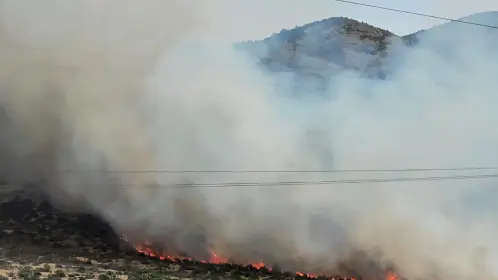 Reportan incendio en Los Ángeles de la Narro en Saltillo
